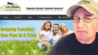 Dog Training Beyond Website Critique