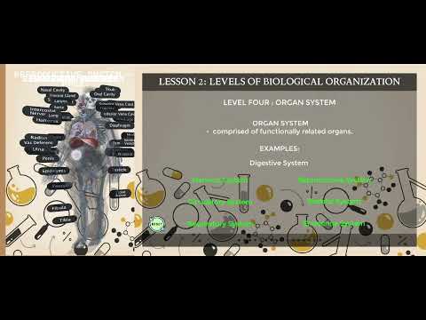 ARScience video thumbnail