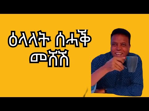 BERHE GHILE(MESHESH) ዋዛታት