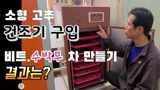 소형 건조기 구입 성능 실험 결과 ? 건조기 가격 ? 비트.수박무  말랭이 건조