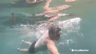 Countdown to summer: Tips to avoid cold water shock