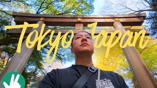 7 Days in Tokyo (with DJI Osmo Nano and Panasonic S9)