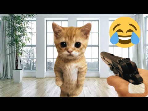 You Laugh You Lose 😹😹| Funniest Cats & Dogs 2025
