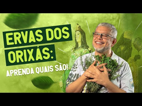 Ervas dos Orixás | Ritualizando com o Erveiro da Jurema