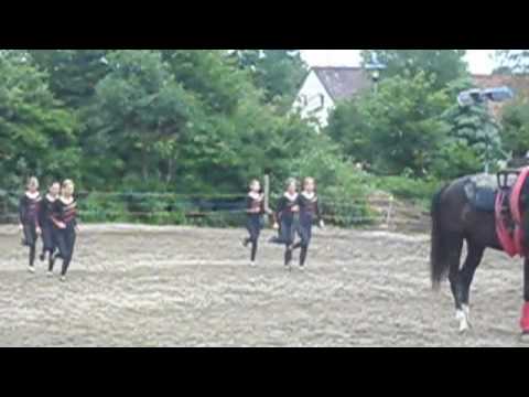 PSV Roggenburg Sommerfest 2009.m4v