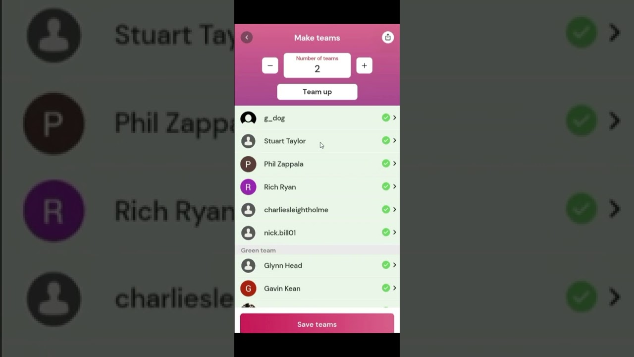 ALL IN - Random team generator