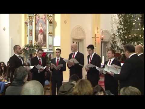 Klapa Slavonica - Diva Mati