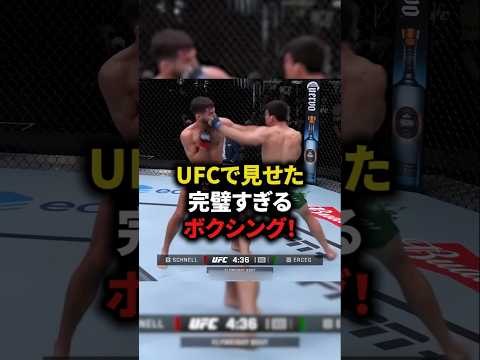 【UFCで見せた完璧すぎるボクシング！】#格闘技#mma #総合格闘技 #shorts