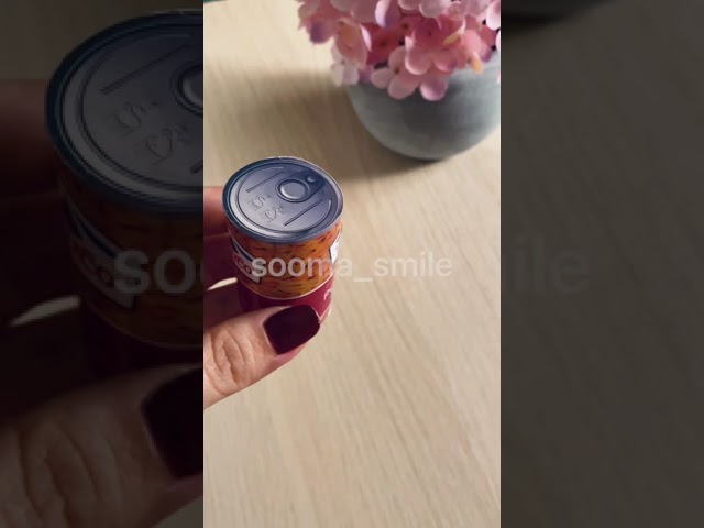 مغناطيس بطاطس عيدان