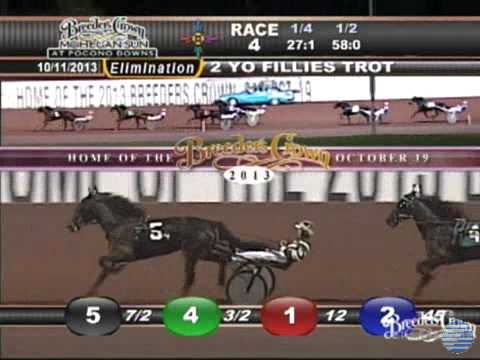 Shake It Cerry - 2013 Breeders Crown elimination - Two-Year-Old Filly Trot