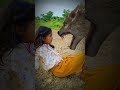 Bhediya Part 2 Shorts Shortsfeed Ghost Bhoot Bhediya