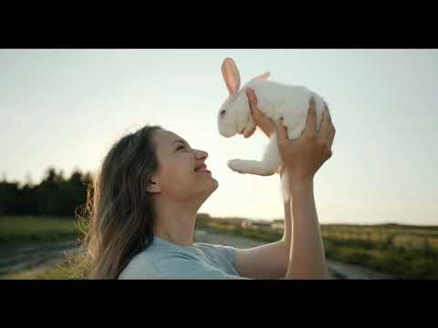 ja chcę mieć ładną dziewczynę