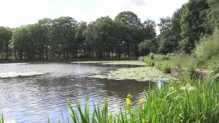 preview picture of video 'Walk to Breary Marsh and Paul's Pond, Cookridge, Leeds, UK - 24th June, 2012 (1080 HD)'