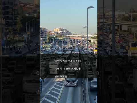 주차 과태료 폭탄 피하는 법 💣