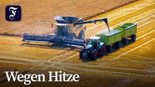 Deutsche Bauern fahren deutlich weniger Ernte ein