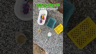 一撃でピクミン何匹キャッチできるかな？【ピクミンの歌】 #shorts #pikmin #ピクミン