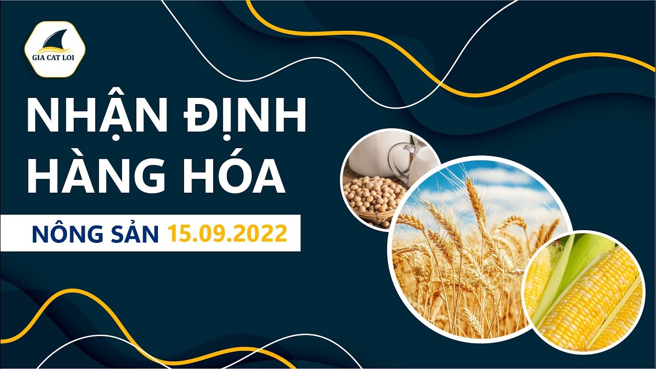 Nhận Định Thị Trường Nông Sản Ngày 15/09/2022