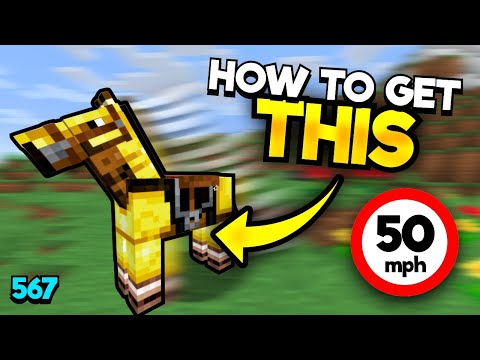 How To Breed Minecraft's FASTEST Horse (In New Update)