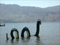 Ogopogo Mystery Put to Rest (Hilarious clip from This is That) - Prime VGM Ogopogo Mystery Put to Rest (Hilarious clip from This is That)
