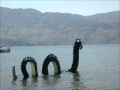 Ogopogo Mystery Put to Rest (Hilarious clip from This is That)