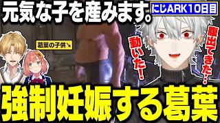 【にじARK10日目】葛葉、念願の妊娠。最強恐竜リーパーテイムに！【にじさんじ/切り抜き/葛葉/エクス・アルビオ/本間ひまわり】