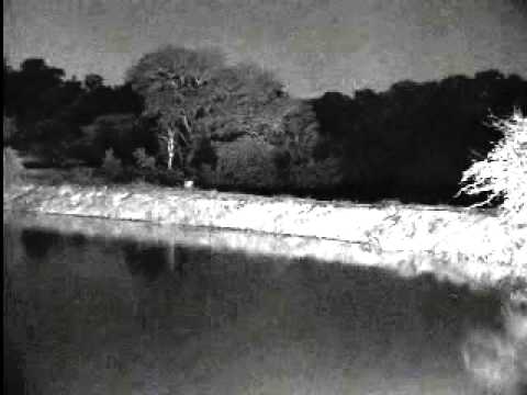 Leopard on Dam Wall - Djuma - Feb 12, 2014