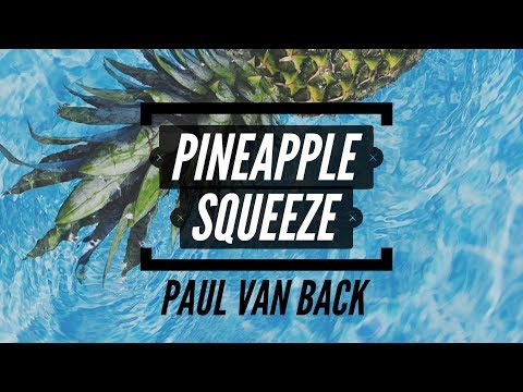 Pineapple Squeeze - Paul van Back