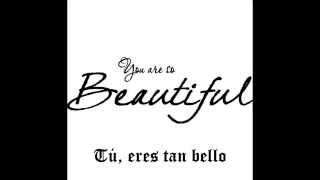 Enrique Iglesias - Beautiful feat. Kylie Minogue Lyrics (Ingles - Español)