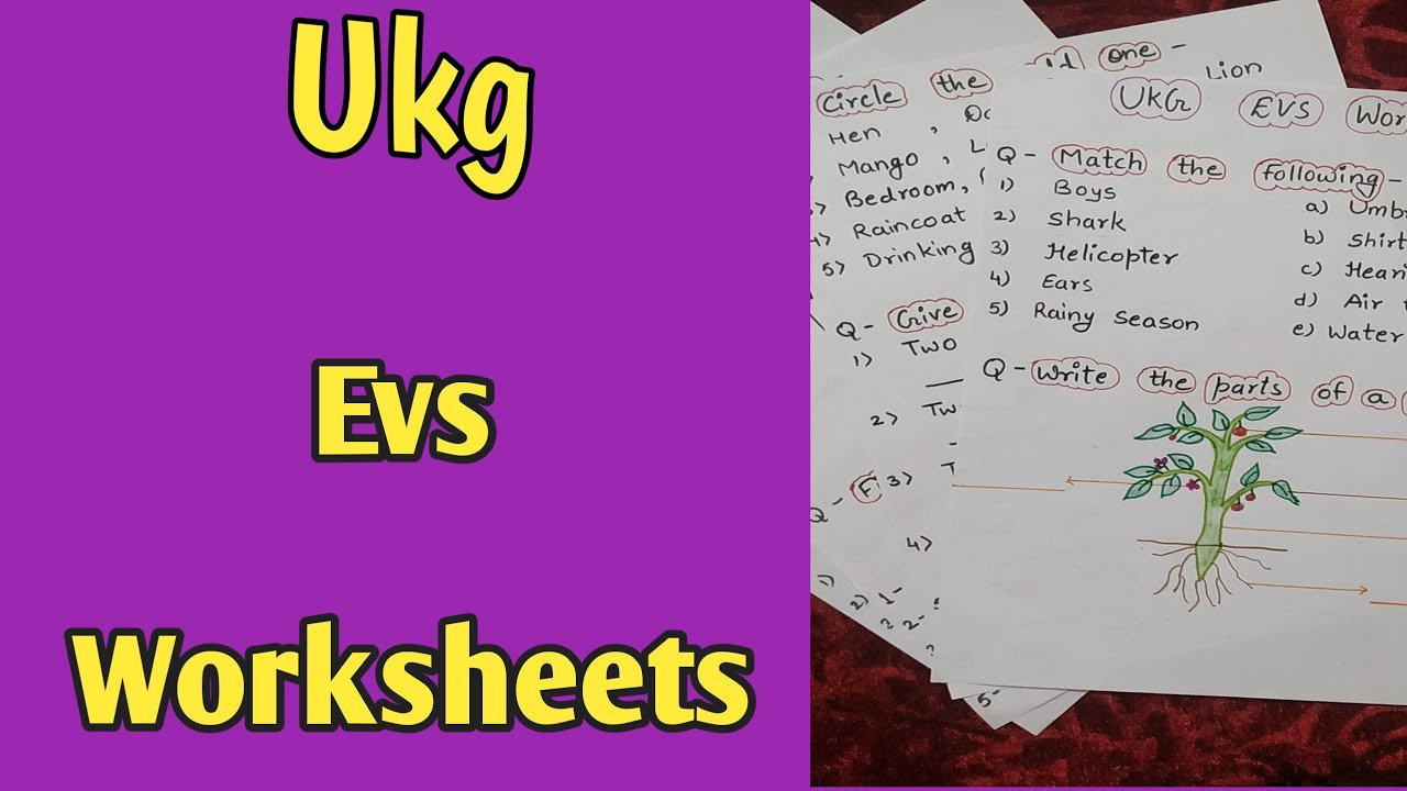 Ukg Evs Worksheets || Evs Worksheets For Ukg ||