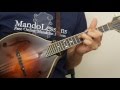 Ducks On The Millpond (Low Octave) (With Tabs & Play Along Tracks) - Mandolin Lesson