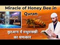 Miracle Of Honey Bee In Quran Urdu Hindi कुरआन में मधुमक्खी का �