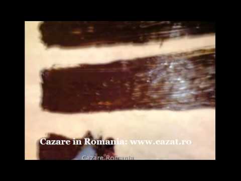 Cazare Racauti, Bacau - Cazat.ro