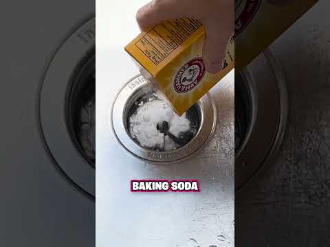 How to Clean Your Garbage Disposal! 💧