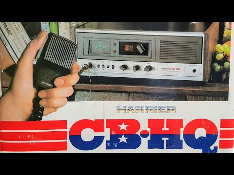 Sunday LIVE : New arrivals