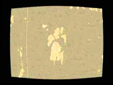 rooftop sound with m.c. gregory fabulous club jamaica 2010 o