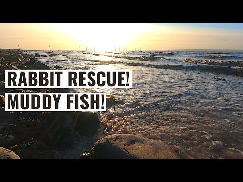 Almost A Double - I Got There In The End - Sea Fishing UK