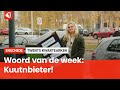 Het Twentse woord van de week: Kuutnbieter!