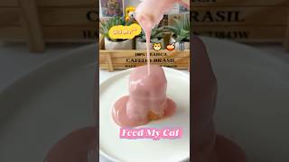 ASMR｜Feed My Cat～🐱🥣🍴 #asmr #cat #catshorts #feedshorts #asmrsounds #feed #catfood #shorts
