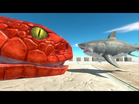 Baby Megalodon Shark vs Every Unit - Animal Revolt Battle Simulator