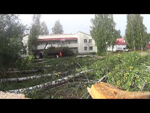 Metsolan Metsäkoulu 172 - Vaaran paikka, älä mene taakan alle!