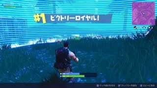 [フォートナイト]死闘を乗り越え最後はレンガの壁に助けられドンカツ！