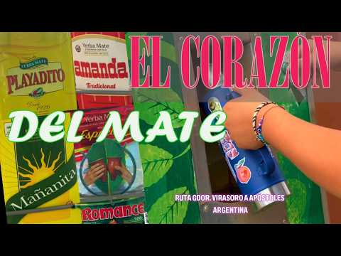 Descubrimos el VERDADERO corazón de la YERBA MATE en Argentina ¡y nos esperábamos esto!
