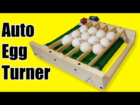 automatic egg turner tray - auto egg turner incubator - diy egg turner for incubator