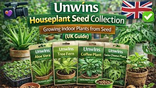 🎥 🎥 🌿 Unwins Houseplant Seed Collection | Growing Indoor Plants from Seed (UK Guide)