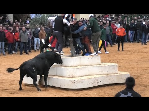 Villalpando 2024 Suelta de Toros Bravos