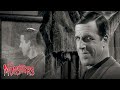 That S Not Herman That S Fred Compilation The Munsters