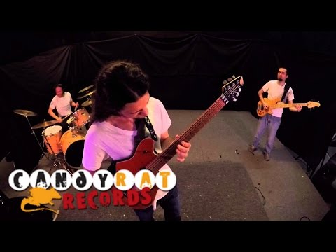 Galia Social - Tennessee Nightingale