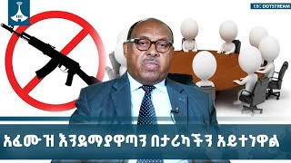 የጦርነት እና የአፈሙዝ አባዜ እንደማያዋጣን በታሪካችን አይተነዋል - አምባሳደር ማህ?