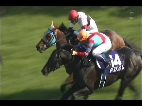 春の天皇賞フェノーメノ連覇　2014/05/04