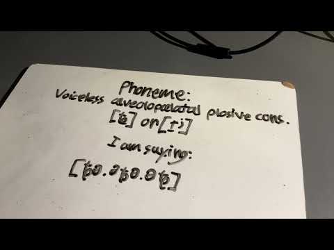 [ȶ] voiceless alveolopalatal plosive consonant